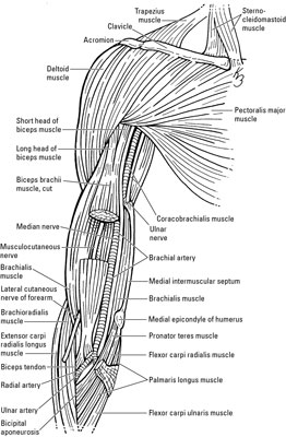 image0.jpg