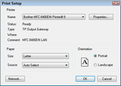 Use the Print Setup dialog box to set options for your printer.