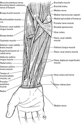 image1.jpg