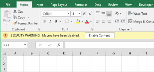 Excel’s warning that the workbook just opened contains macros. You see this warning if the VB