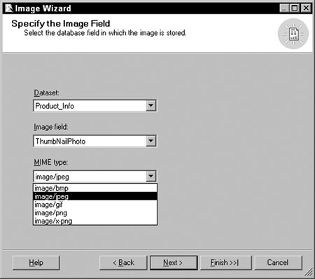 Professional SQL Server Reporting Services - Figure 9
