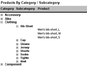 Professional SQL Server Reporting Services - Figure 15