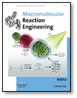 Macromolecular Reaction Engineering