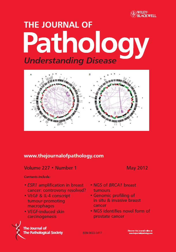 The Journal of Pathology