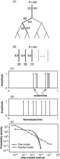 What Are Segments