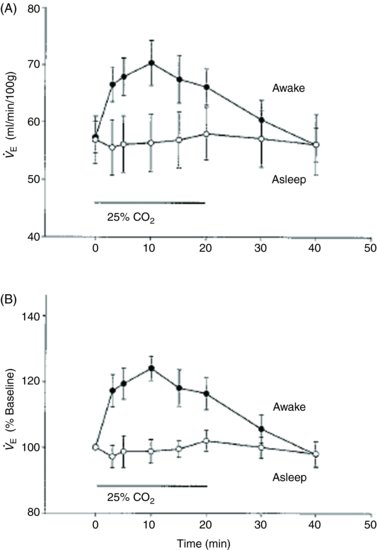 Why Do Chemoreceptors Function