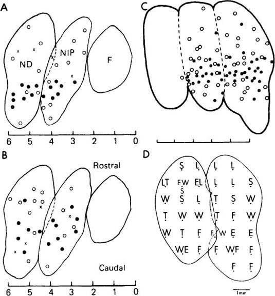 Arm Movement