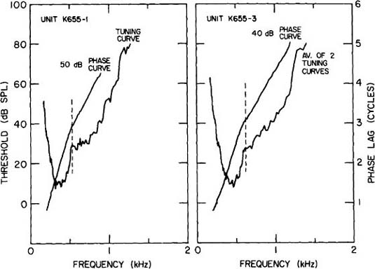 Tuning Curve Auditory