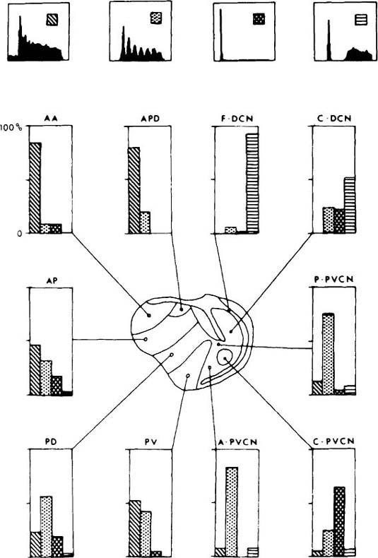 Crosshatched Diagonal Pattern Space