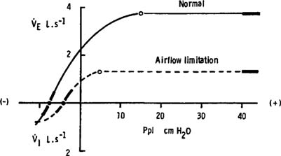 Airflow In Lungs