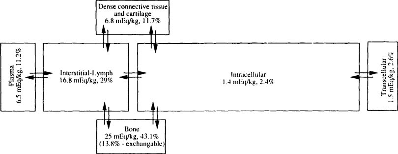 Body Fluid Distribution