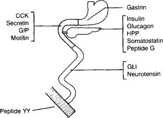 gastric inhibitory peptide