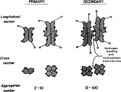 Bile Salt Structure