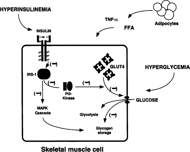 Glucose Symbol