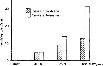 Pyruvate Oxidation Steps
