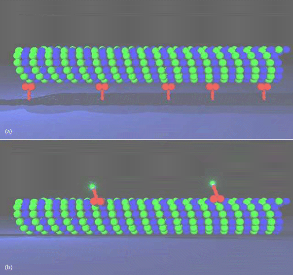 Motility Assay