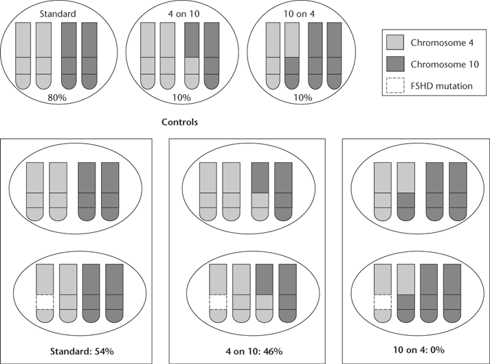 Distal Muscular Dystrophy