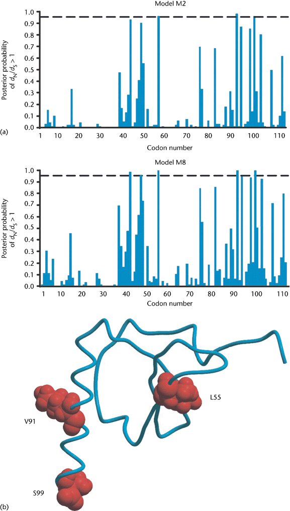 Mouse Genome