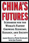 China's Futures: Scenarios for the World's Fastest Growing Economy, Ecology, and Society (0787952001) cover image