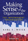 Making Sense of the Organization, Volume 2: The Impermanent Organization (0470742208) cover image
