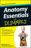 Anatomy Essentials For Dummies (1118184211) cover image Anatomy Essentials For Dummies (1118184211) cover image
