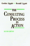 The Consulting Process in Action, 2nd Edition (088390201X) cover image