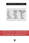 Language Variation as Social Practice: The Linguistic Construction of Identity in Belten High (0631186034) cover image