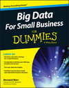 Big Data For Small Business For Dummies (1119027039) cover image Big Data For Small Business For Dummies (1119027039) cover image