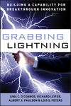 Grabbing Lightning: Building a Capability for Breakthrough Innovation (0787996645) cover image