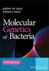 Molecular Genetics of Bacteria, 5th Edition (0470741848) cover image
