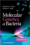Molecular Genetics of Bacteria, 5th Edition (0470741856) cover image