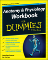 Anatomy and Physiology Workbook For Dummies, 2nd Edition (1118940075) cover image Anatomy and Physiology Workbook For Dummies, 2nd Edition (1118940075) cover image