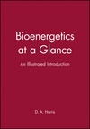 Bioenergetics at a Glance: An Illustrated Introduction