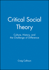 Critical Social Theory: Culture, History, and the Challenge of Difference (1557862885) cover image