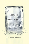 Liquid Modernity (074562409X) cover image