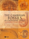 The Cambrian Fossils of Chengjiang, China: The Flowering of Early Animal Life (140516719X) cover image