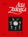 Acta Zoologica