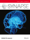 Synapse