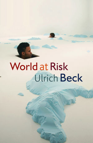 World at Risk (0745642004) cover image