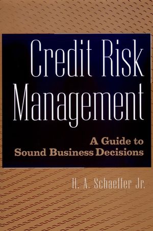 Credit Risk Management: A Guide to Sound Business Decisions (0471350206) cover image