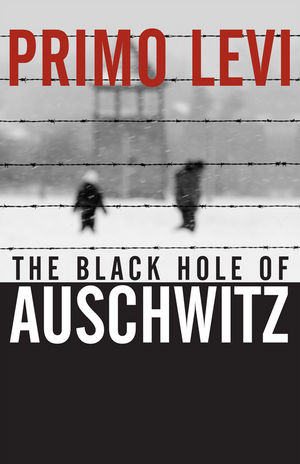 The Black Hole of Auschwitz (0745632408) cover image