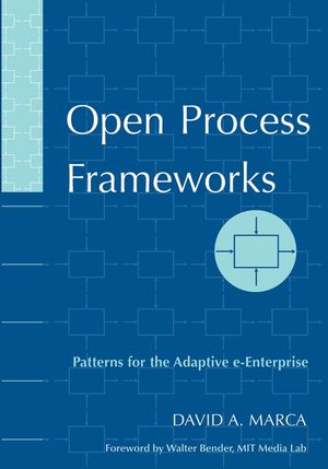 Open Process Frameworks: Patterns for the Adaptive e-Enterprise (0471736112) cover image