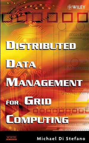 Distributed Data Management for Grid Computing (0471738212) cover image