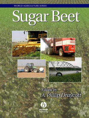 Sugar Beet (140511911X) cover image
