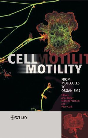Cell Motility: From Molecules to Organisms (0470848723) cover image