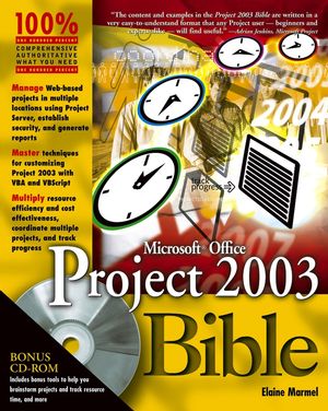 Microsoft Office Project 2003 Bible (0764542524) cover image