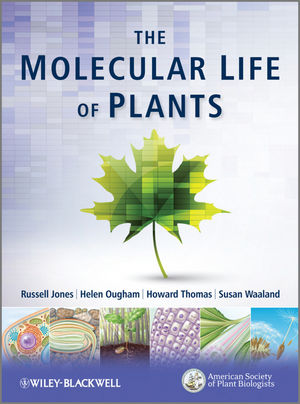 Book Cover Image for The Molecular Life of Plants