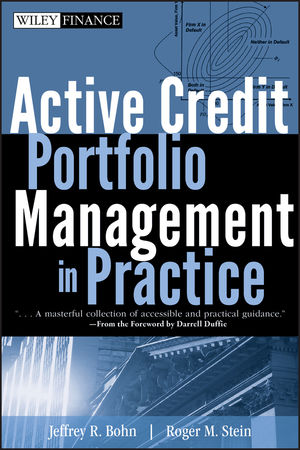 Active Credit Portfolio Management in Practice (0470455128) cover image