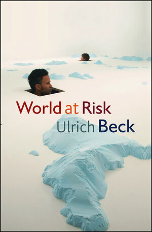 World at Risk (074568162X) cover image