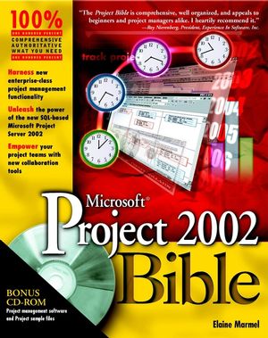 Microsoft Project 2002 Bible (0764536532) cover image